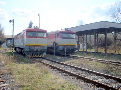 Zobrazi� cel� fotku