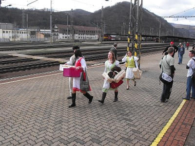Zobrazi� cel� fotku