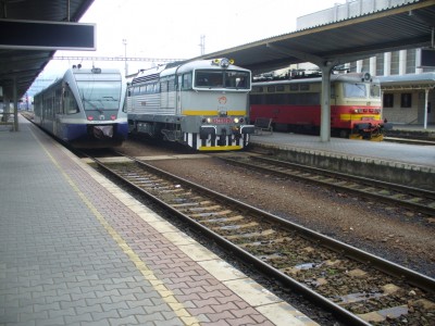 Zobrazi� cel� fotku