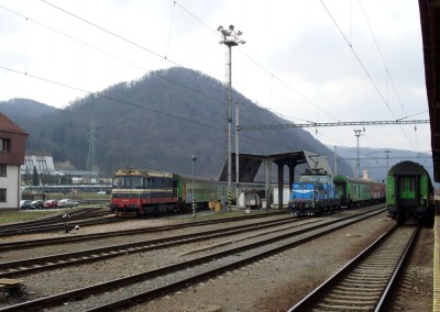 Zobrazi� cel� fotku