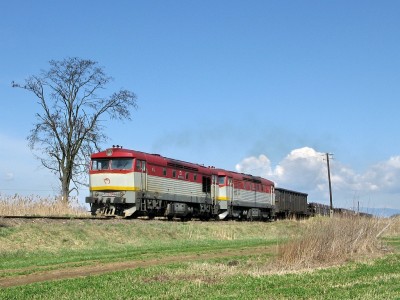 Zobrazi� cel� fotku