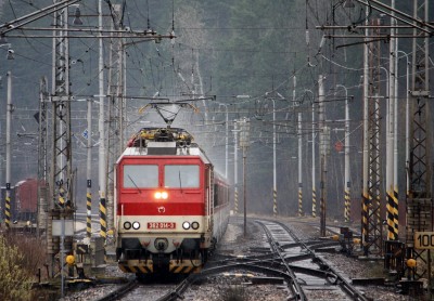 Zobrazi� cel� fotku