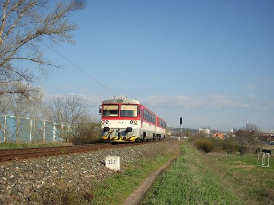 Zobrazi� cel� fotku