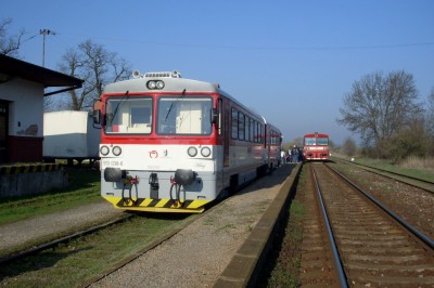 Zobrazi� cel� fotku