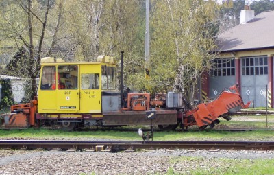 Zobrazi� cel� fotku
