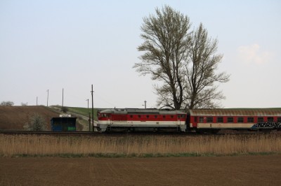 Zobrazi� cel� fotku