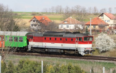 Zobrazi� cel� fotku