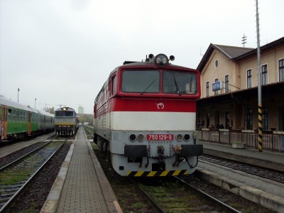 Zobrazi� cel� fotku