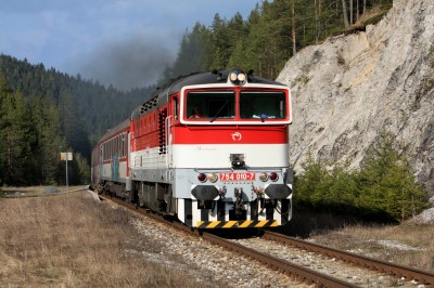 Zobrazi� cel� fotku