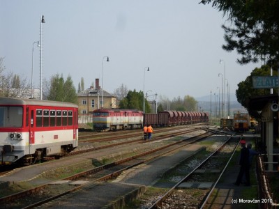 Zobrazi� cel� fotku