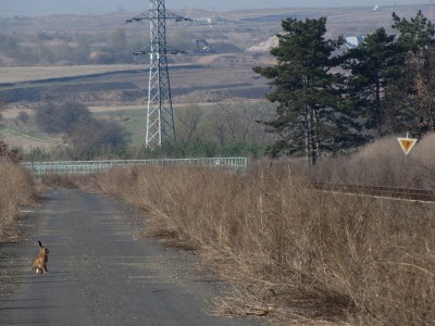 Zobrazi� cel� fotku