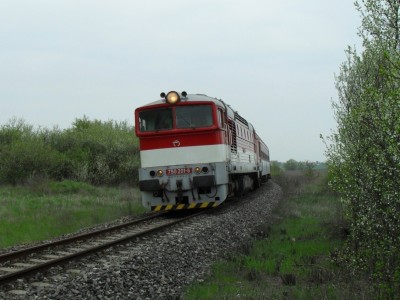 Zobrazi� cel� fotku