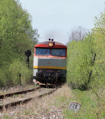 Zobrazi� cel� fotku