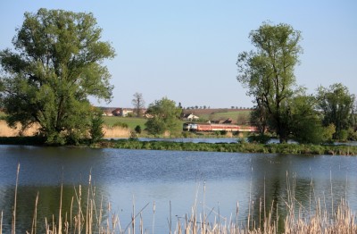 Zobrazi� cel� fotku