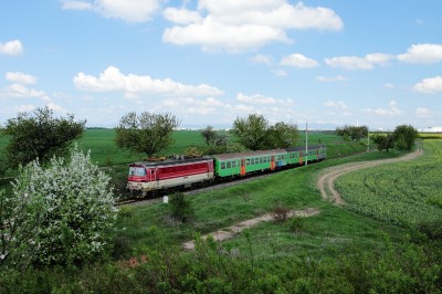Zobrazi� cel� fotku
