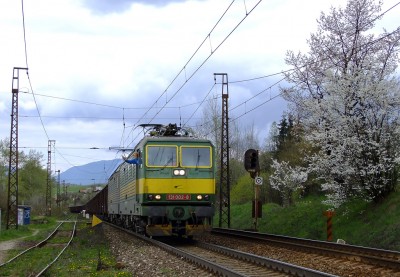 Zobrazi� cel� fotku