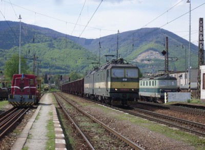 Zobrazi� cel� fotku