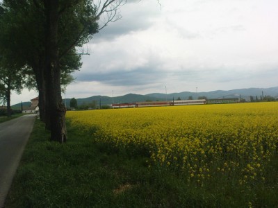 Zobrazi� cel� fotku