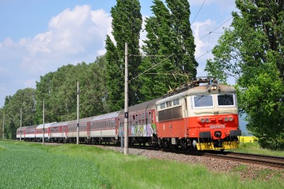 Zobrazi� cel� fotku