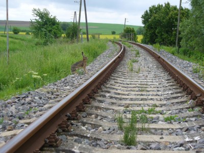 Zobrazi� cel� fotku