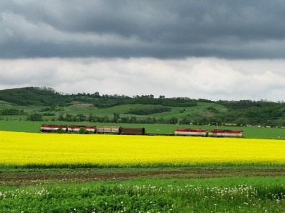 Zobrazi� cel� fotku