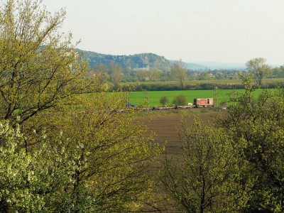 Zobrazi� cel� fotku