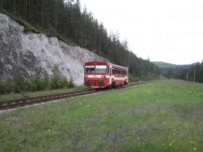 Zobrazi� cel� fotku