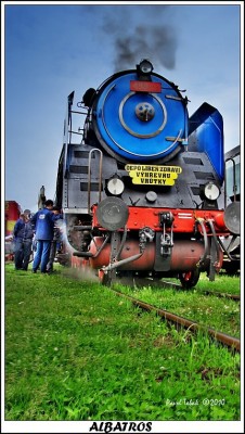 Zobrazi� cel� fotku