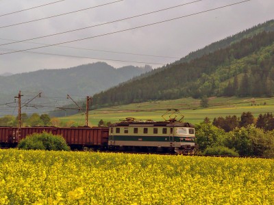 Zobrazi� cel� fotku