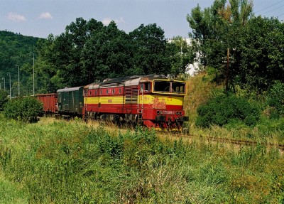 Zobrazi� cel� fotku