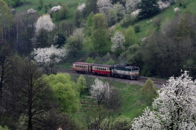 Zobrazi� cel� fotku