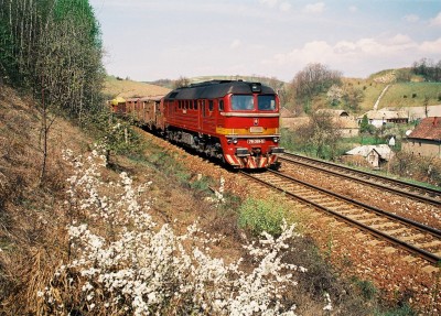 Zobrazi� cel� fotku
