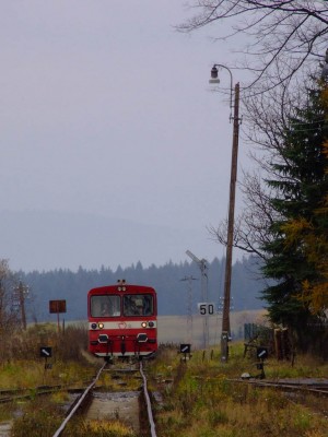 Zobrazi� cel� fotku