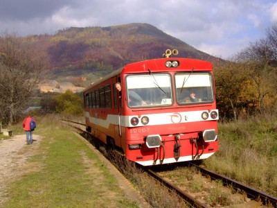 Zobrazi� cel� fotku