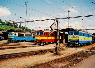 Zobrazi� cel� fotku