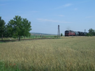 Zobrazi� cel� fotku