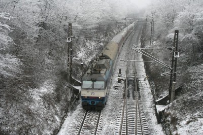 Zobrazi� cel� fotku