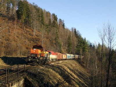Zobrazi� cel� fotku