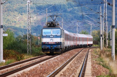 Zobrazi� cel� fotku