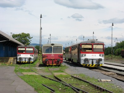 Zobrazi� cel� fotku