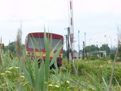 Zobrazi� cel� fotku