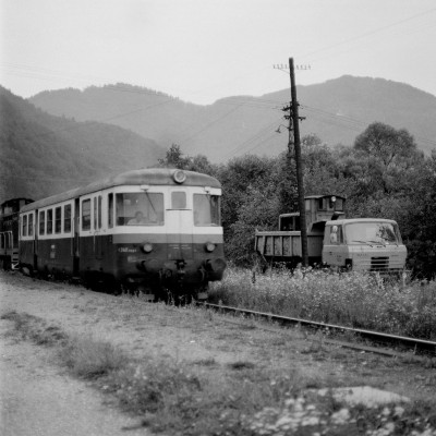 Zobrazi� cel� fotku