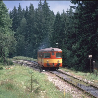 Zobrazi� cel� fotku