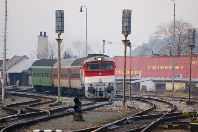 Zobrazi� cel� fotku