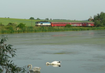 Zobrazi� cel� fotku