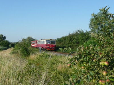 Zobrazi� cel� fotku