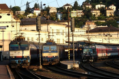 Zobrazi� cel� fotku