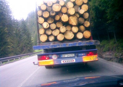 Zobrazi� cel� fotku