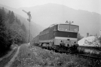 Zobrazi� cel� fotku