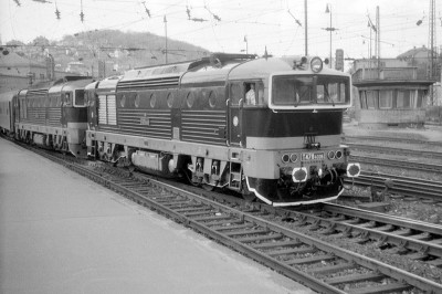 Zobrazi� cel� fotku